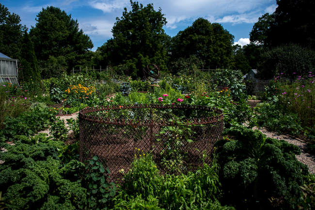Digging Deeper: Bunny Williams on Vegetable Garden Style